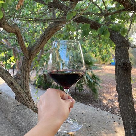 אנדרנו Agriturismo Salento Pietralata מראה חיצוני תמונה