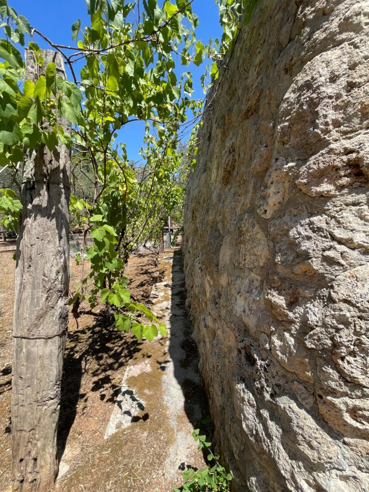 אנדרנו Agriturismo Salento Pietralata מראה חיצוני תמונה