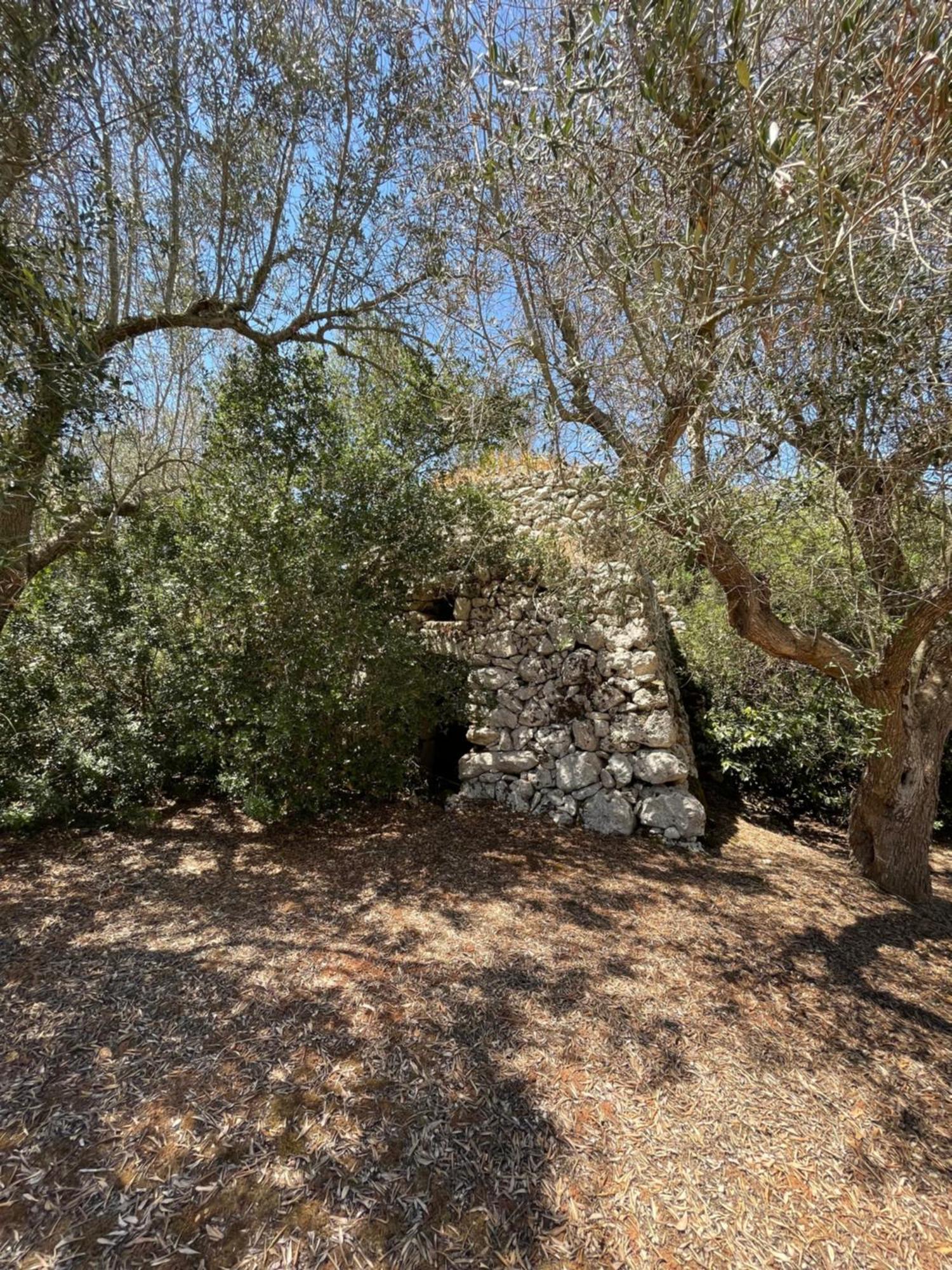 אנדרנו Agriturismo Salento Pietralata מראה חיצוני תמונה