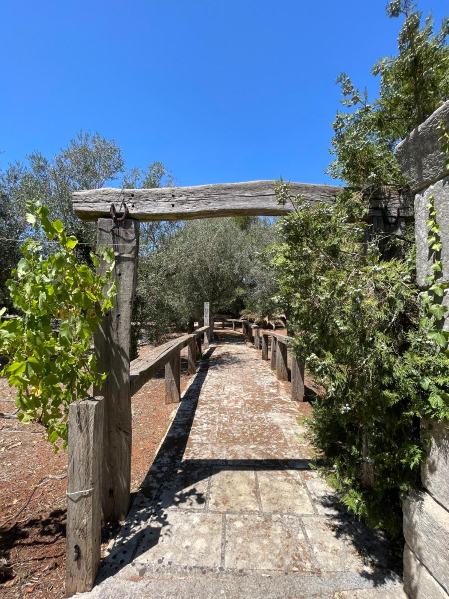 אנדרנו Agriturismo Salento Pietralata מראה חיצוני תמונה