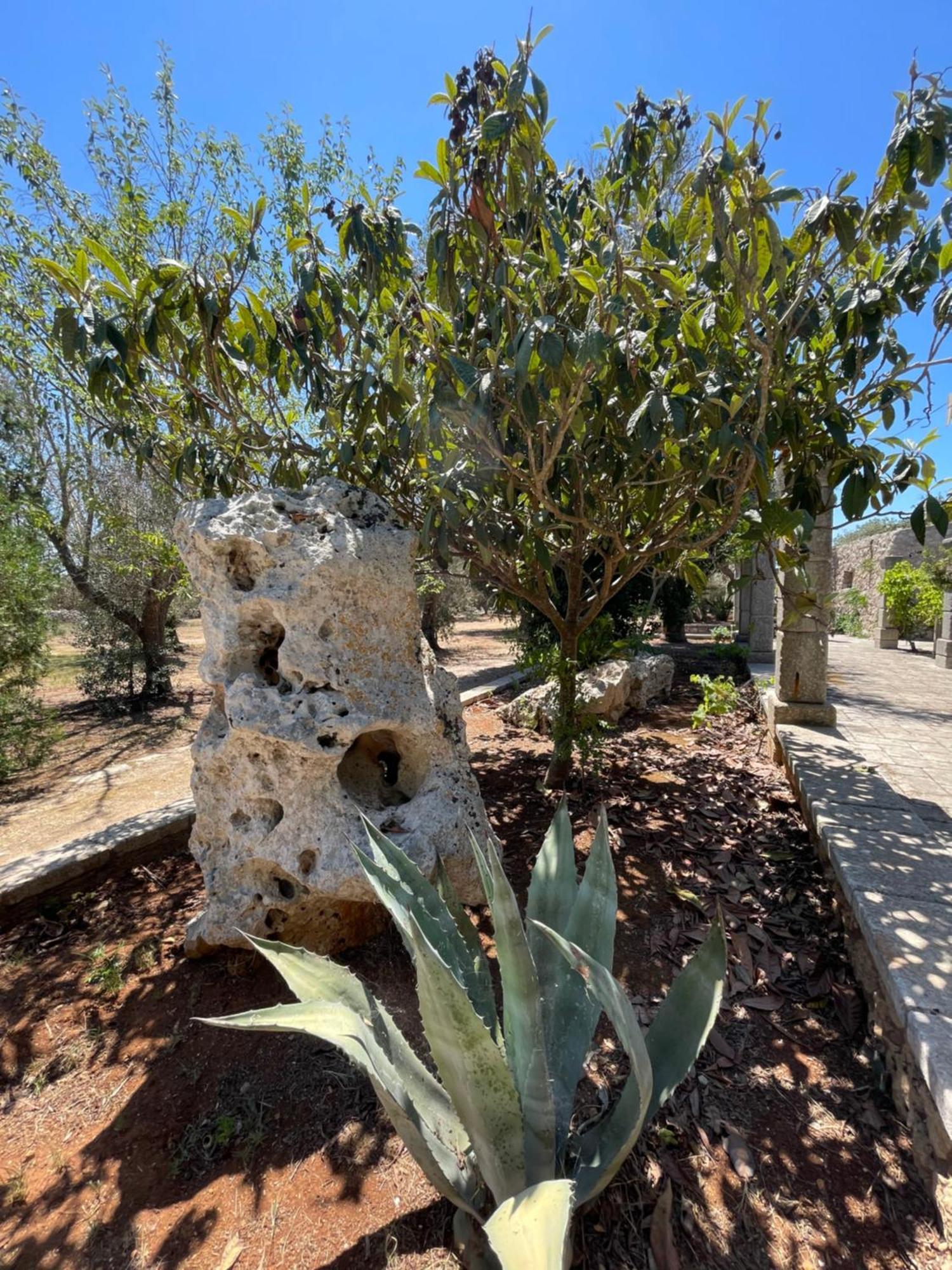 אנדרנו Agriturismo Salento Pietralata מראה חיצוני תמונה